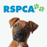 RSPCA Australia